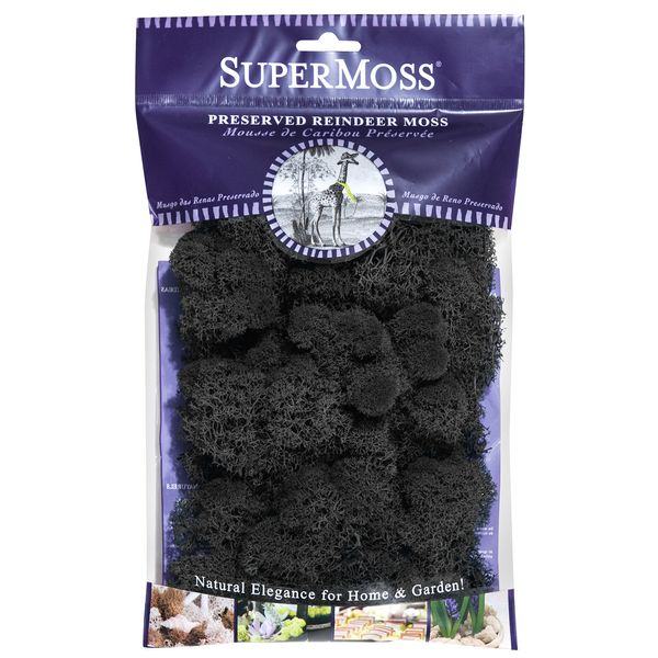 SuperMoss (25123 Reindeer Moss Preserved, Black, 2oz