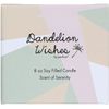 Pavilion - Make a Wish White Ceramic Soy Serenity Scented Candle, 8 oz