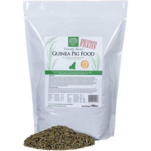 Small Pet Select Guinea Pig Food Pellets, 10 Lb. 10 Pound (Pack of 1)