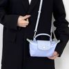 Longchamp Small Tote Bag Organizer - Chispee Insert for Timid Bag Storage & Finishing