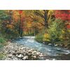 Eurographics Forest Stream 1000-Piece Puzzle