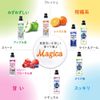 Charmy Magica Quick Drying + Disinfecting Clear Lemon Scent, Main Unit