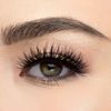 House of Lashes Starlet Dramatic False Eyelashes