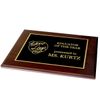 Custom Laser Engraved Plaque Awards (8" x 10")