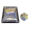 DIY MASTER Hologram Glitter Flake 1mm 500g