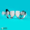 40 Pcs Endodontic Rubber Dam Clamps Set Dental Instruments German Grade