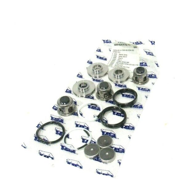 NEW CAT PUMPS 30449 VALVE KIT