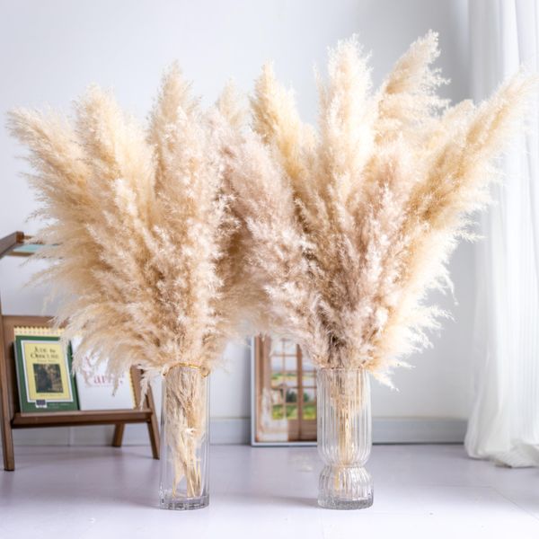 Tall Pampas Grass 10PCS Boho Decor Natural Home Decor Phragmites Dried Flowers Bouquet for Wedding Floral Arrangements Home Decorations (10PCS Tall Pampas Grass)