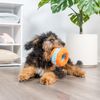 Chuckit! Indoor Roller