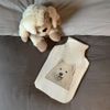 'Samoyed' Hot Water Bottle Cover (HW00024014)