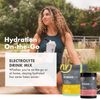 HydrateOne, Electrolyte Drink Mix On-The-Go | Watermelon, 60 Servings