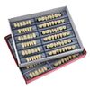 WINDI Denture Care 168pcs/set Dental Acrylic Resin Denture Kit Halloween Horror Props White Denture 23 A3 Up & Down Dental