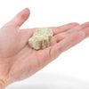 EISCO Fine White Marble Specimen (Metamorphic Rock), Approx. 1" (3cm)