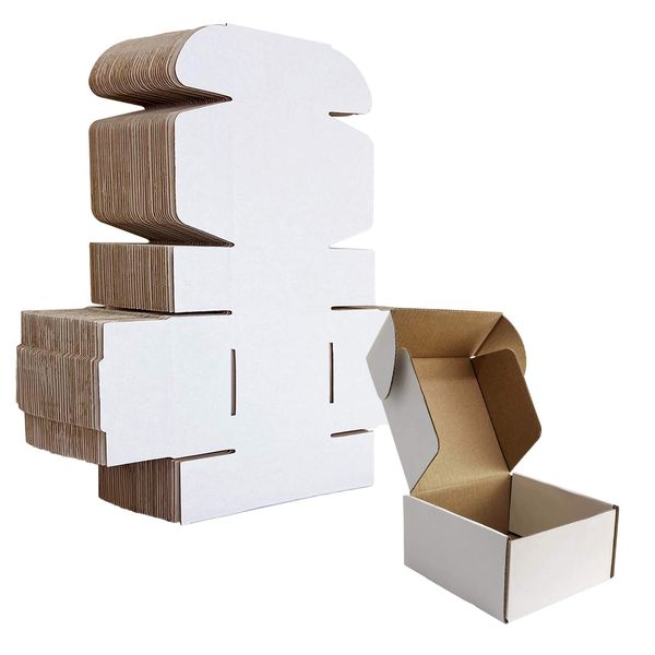 HORLIMER 4x4x2 inches Shipping Boxes Set of 25, White Corrugated Cardboard Box Literature Mailer