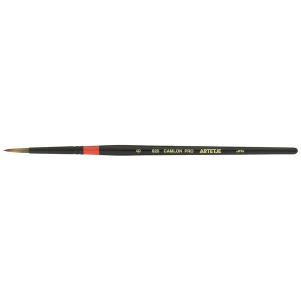 arute-zyu kyamuronpuro 620 6 # # # # 164406