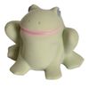 Gemba The Frog Organic Natural Rubber Teether, Rattle & Bath Toy