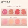 Long-Lasting Liquid Blush - High Pigmented, Waterproof, Silky Smooth Blusher for