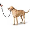 HUNTER Follow Me Education Nylon Harness, Size 3, Large, Black