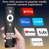 Voice Remote Control Replacement for Hisense Smart Google TV，Compatible with Hisense QLED UHD Mini-LED ULED Google TVs