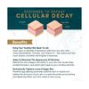 ReActivate Your Skin’s Beauty From Within, With Dr. Rosenberg’s Spec