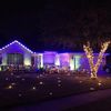 25 Pack C7 Replacement Light Bulbs, Transparent Blubs for C7 String Lights NEW