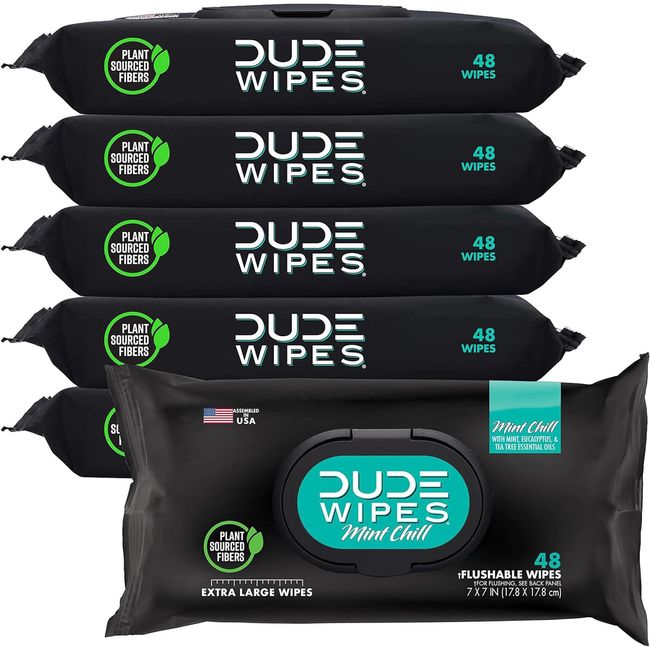 DUDE Wipes Flushable Wipes - 6 Pack, 288 Wipes - Mint Chill Extra-Large Adult &