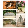 GraphLAB Postcard Set of 10 Vol.2 Cat Cat