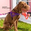 EzyDog Quick Fit Dog Harness - Premium Padded No-Pull Harness, Burnt Orange, Medium
