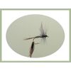 Dry Trout Flies, 24 Per Compartment Box, Mixed Pattern & Sizes, For Fly Fishing