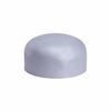 MERIT 4381018810 3/4" SS Weld Fitting Cap Pipe Fitting