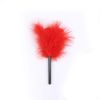 Tickling Feathers Tickling Fur Tickling Stick Tickling Brush Adult Goods (White)