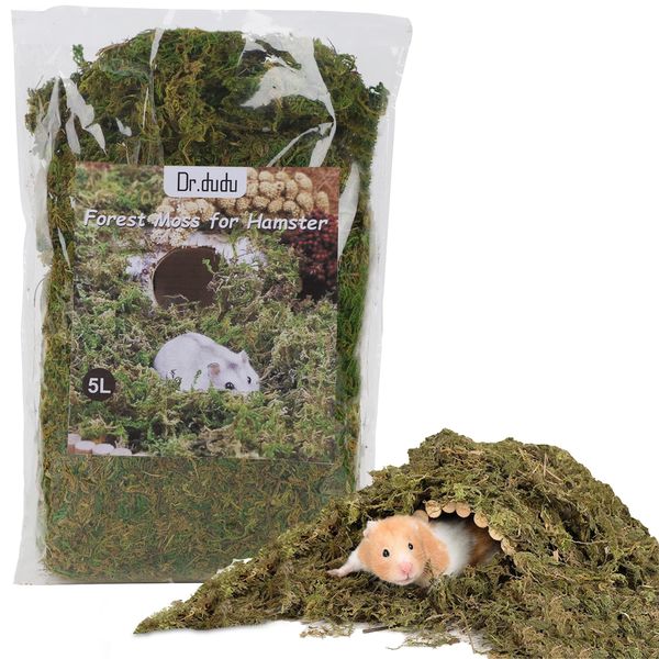 DR.DUDU 5L Forest Moss for Hamster Bedding Nesting, Syrian Gerbils Hamster Cages Accessories, Perfect for Small Animals Terrarium Moss