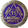 11 Month AA Medallion Reflex Purple Gold Plated Chip