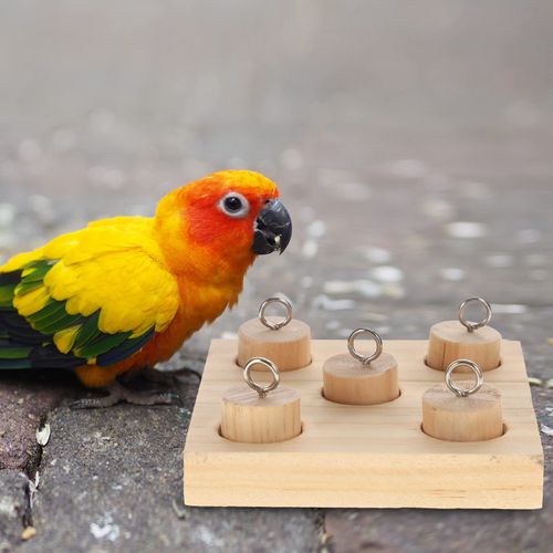 Mipcase Desktop Toys Bird Training Toys Parrot Intelligence Toy Wooden Block Puzzle Toys Parrot Biting Toys Educational Toys Wooden Activity Play Gym Accessories Bird Cage Accessories