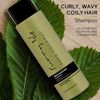 Sunny Isle Shea Coconut Moisturizing Shampoo - 12Oz