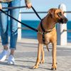 Control Multi-Leash X-Large - Dayglo Yellow
