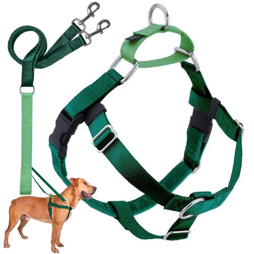 2 Hounds Design Freedom No Pull Dog Harness, Adjustable Harness and Leash Set, Easy Walking & Comfortable Control, Fits Small, Medium & Large Dogs, Solid Colors, Made in USA, 1" MD, Kelly Green