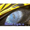Raptor Yamaha 660 BLUE Eyes HeadLight Covers  atv