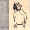 Macaw Parrot Rubber Stamp Bird Perched