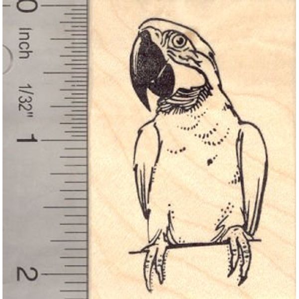 Macaw Parrot Rubber Stamp Bird Perched