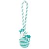 ALLFORWAN'S LIFE DENTA FUN PLAIN GROUP WITH BALL