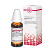 Ribes nigrum Urtinktur DHU, 20 ml Lösung
