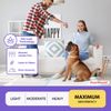 PETSWORLD Great Dane Dog Training Pads 36x36, Case 100