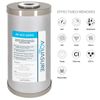 Fortitude V2 Triple Purpose Sediment Carbon Zinc Replacement Filter Standard