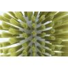 Brosse Brush Craftsman Series Bath Floor Brush, Soft Type