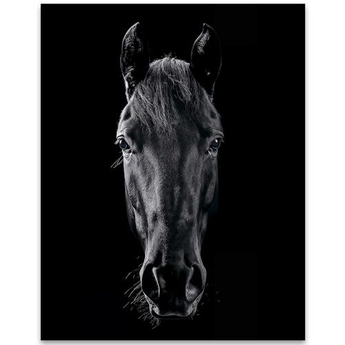Black Horse Portrait: 11x14 Unframed Poster - Rustic Farmhouse Close-Up for Horse Lovers, Equestrian Art, Stable Decor, Ranch Country Western Cowboy Wall Décor