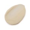Lush Enzymion Facial Moisturizer Cream