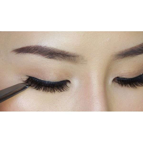 BOO1028 -10 Pair Black Long HANDMADE Voluminous False Eyelash