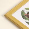 Iwata MP11-BNT Picture Frame, Multi-Surface Plaque, Velia, 3 Windows, Natural