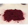 Flocking Kit 1oz Cardinal Red Flock